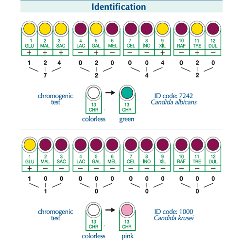 Integral System Yeasts Plus