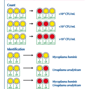 Mycoplasma-System-Plus