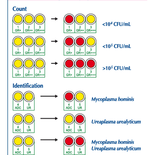 Mycoplasma-System-Plus