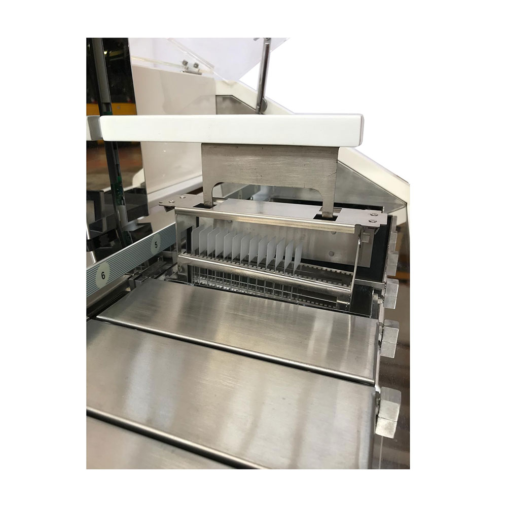 Linie-automat-de-colorare-ATS-2010-Histoline-2