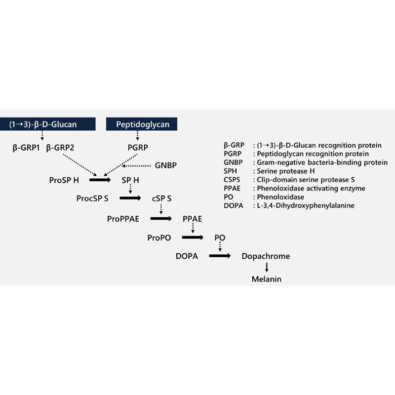 sistem-detectie-peptidoglican-beta-glucan-et-7000-fujifilm-wako-5