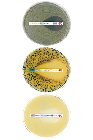 Solutii-de-laborator-microbiologie-aliniate-la-standardul-EUCAST Solutii-de-laborator-microbiologie-aliniate-la-standardul-EUCAST